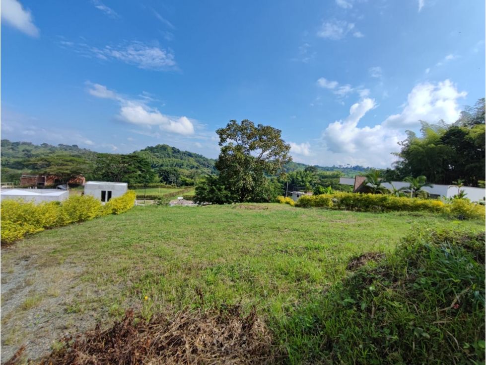 Finca en venta Caldas Palestina Palestina 1050 m2 Habitaciones 0 Baños 0 Garajes 0 Precio $360000000