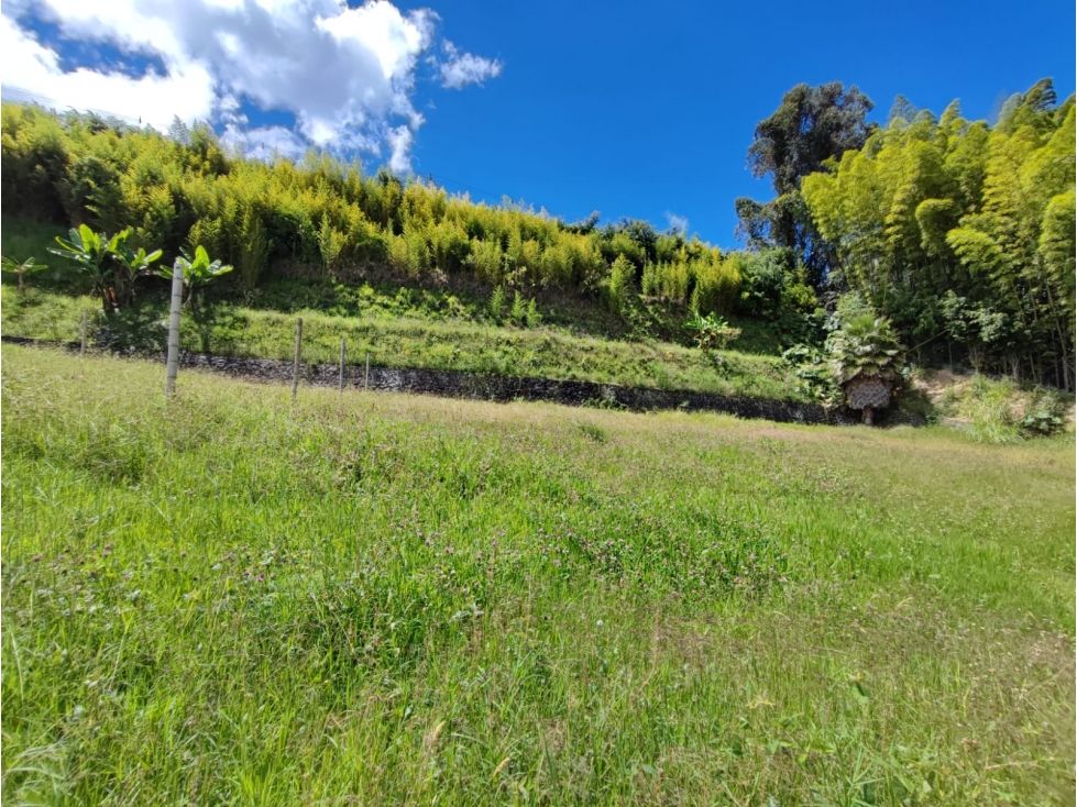 Lote en venta Caldas Villamaría Co Castellon De La Florida 243 m2 Habitaciones 0 Baños 0 Garajes 0 Precio $400000000