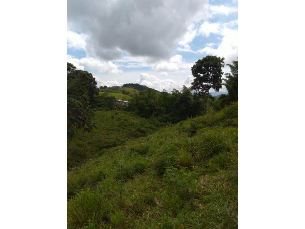 Lote en venta Caldas Manizales Manizales 19200 m2 Habitaciones 0 Baños 0 Garajes 0 Precio $600000000