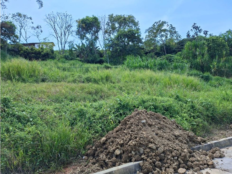 Lote en venta Caldas Manizales Manizales 636 m2 Habitaciones 0 Baños 0 Garajes 0 Precio $290500000