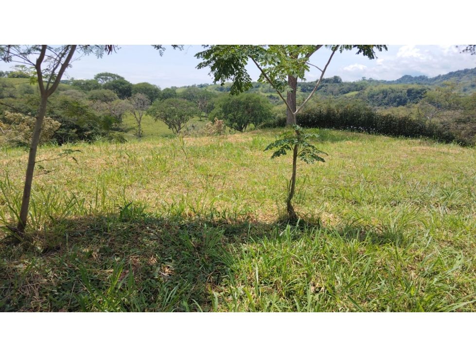 Lote en venta Caldas Manizales Lleras 1105 m2 Habitaciones 0 Baños 0 Garajes 0 Precio $180000000