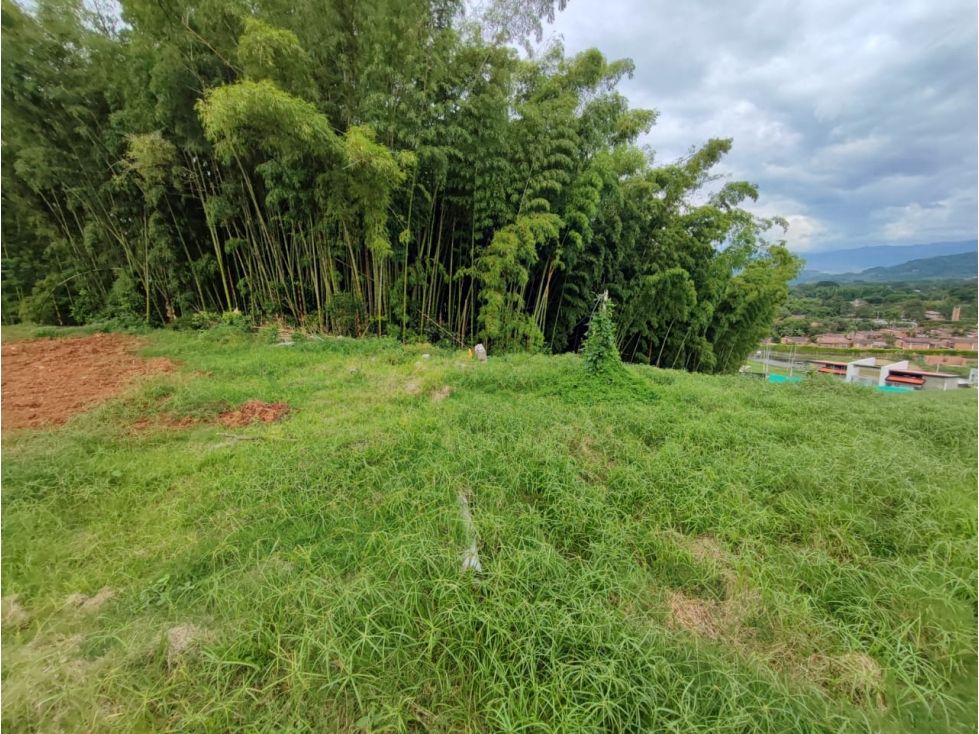 Finca en venta Caldas Palestina Palestina 1723 m2 Habitaciones 0 Baños 0 Garajes 0 Precio $430750000