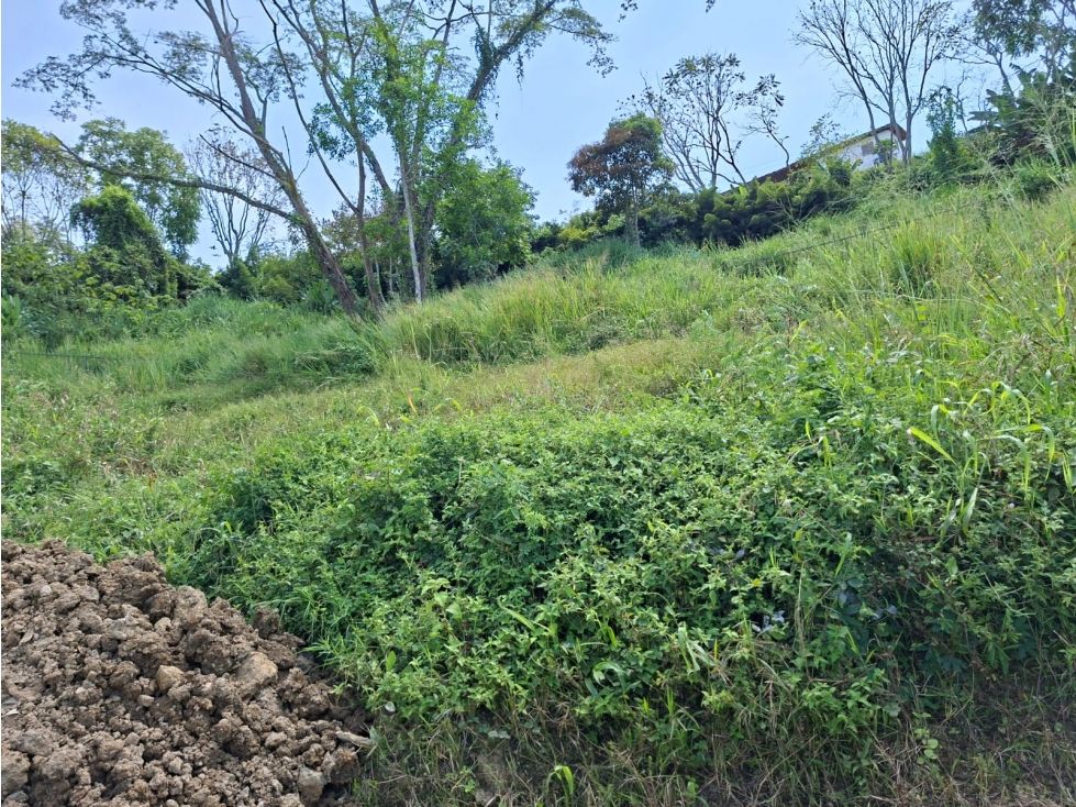 Lote en venta Caldas Manizales Manizales 498 m2 Habitaciones 0 Baños 0 Garajes 0 Precio $229000000