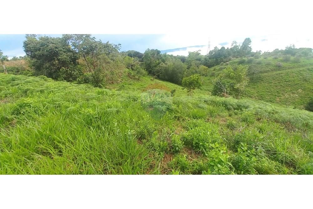 Lote en arriendo Tolima Armero Adra Ofasa 20 m2 Habitaciones 0 Baños 0 Garajes 0 Precio $1500000