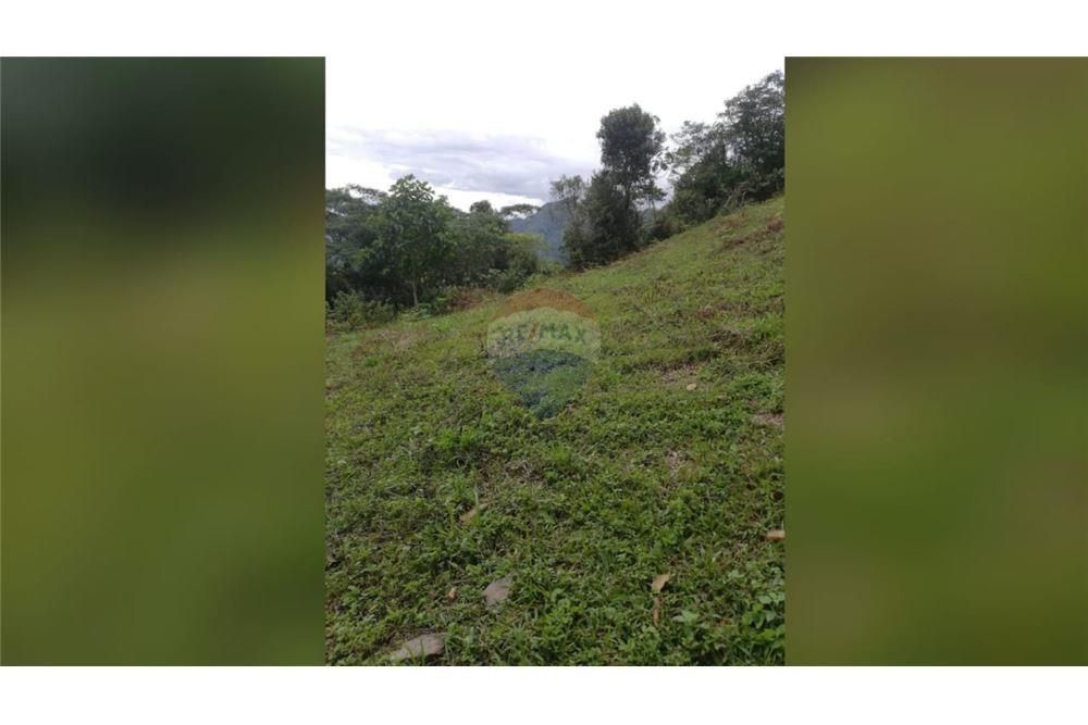 Lote en venta Cundinamarca La Vega Vereda La Cabaña 20 m2 Habitaciones 0 Baños 0 Garajes 0 Precio $280000000