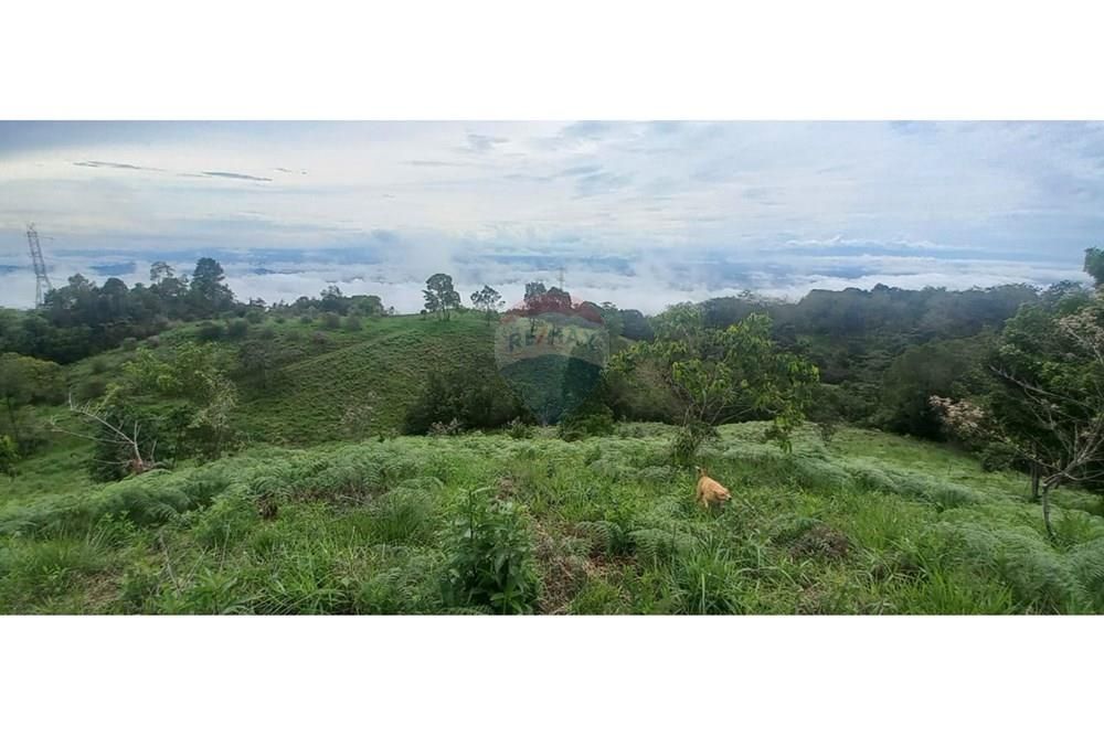 Finca en venta Tolima Armero Adra Ofasa 10 m2 Habitaciones 0 Baños 0 Garajes 0 Precio $570000000
