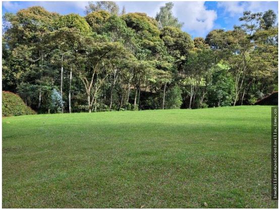 Lote en venta Antioquia El Retiro El Retiro 2944 m2 Habitaciones 0 Baños 0 Garajes 0 Precio $800000000