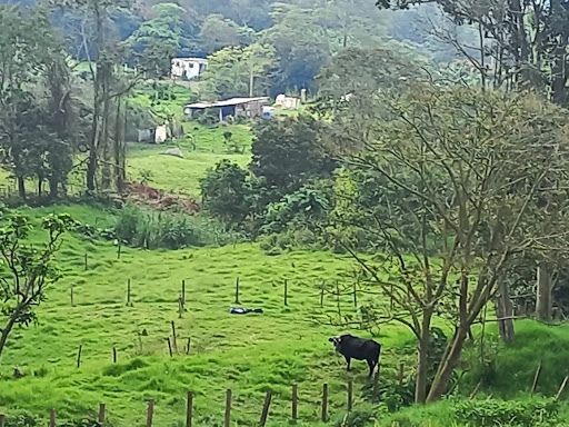 Lote en venta Cundinamarca Tena Tena 2000 m2 Habitaciones 0 Baños 1 Garajes 1 Precio $55000000