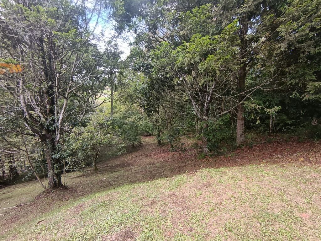 Lote en venta Antioquia El Carmen De Viboral El Carmen De Viboral 3820 m2 Habitaciones 0 Baños 0 Garajes 0 Precio $802000000