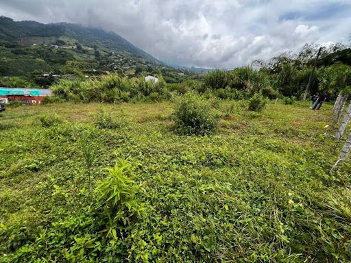Lote en venta Risaralda Dosquebradas Br La Badea 715 m2 Habitaciones 0 Baños 0 Garajes 0 Precio $800000000