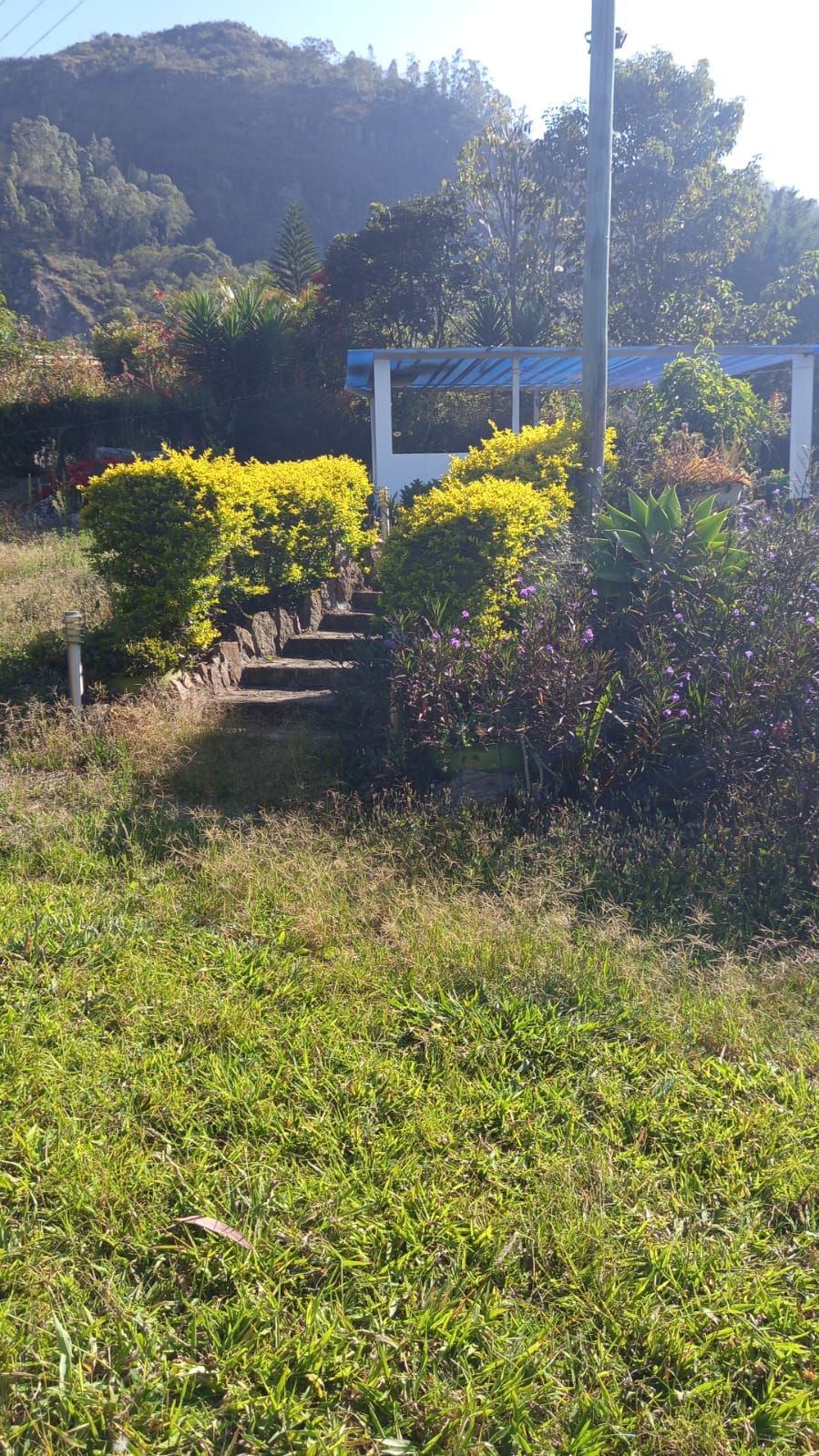 Lote Rural en venta Cundinamarca Choachí Choachi 79 m2 Habitaciones 0 Baños 0 Garajes 0 Precio $650000000