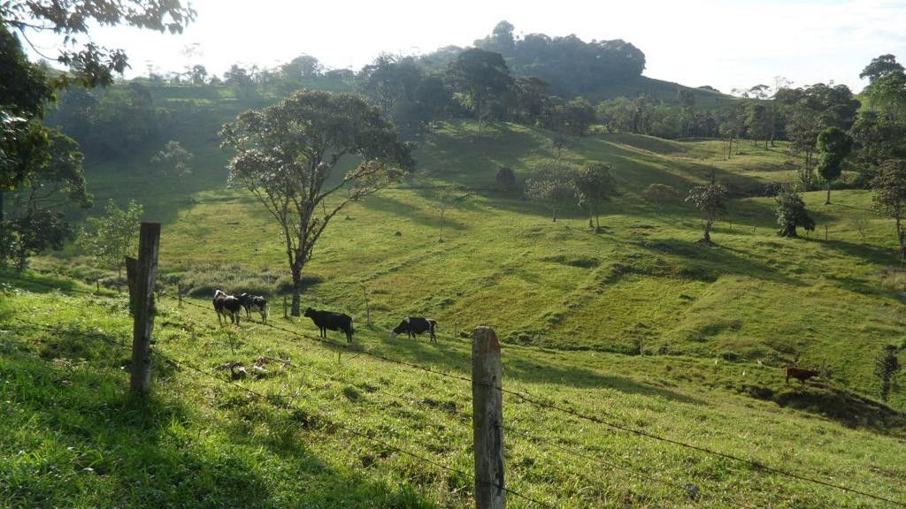 Lote en venta Cundinamarca La Vega La Vega 20 m2 Habitaciones 0 Baños 0 Garajes 10 Precio $720000000