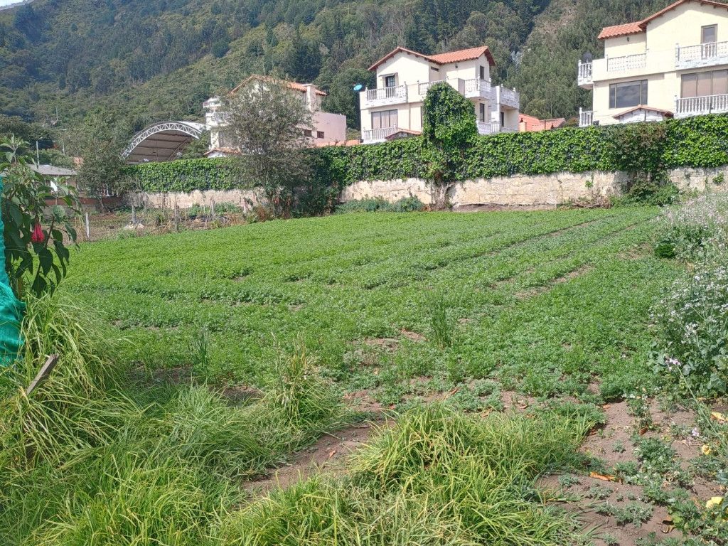 Lote en venta Cundinamarca Cota Br El Ayacucho 0 m2 Habitaciones 0 Baños 0 Garajes 0 Precio $200000000