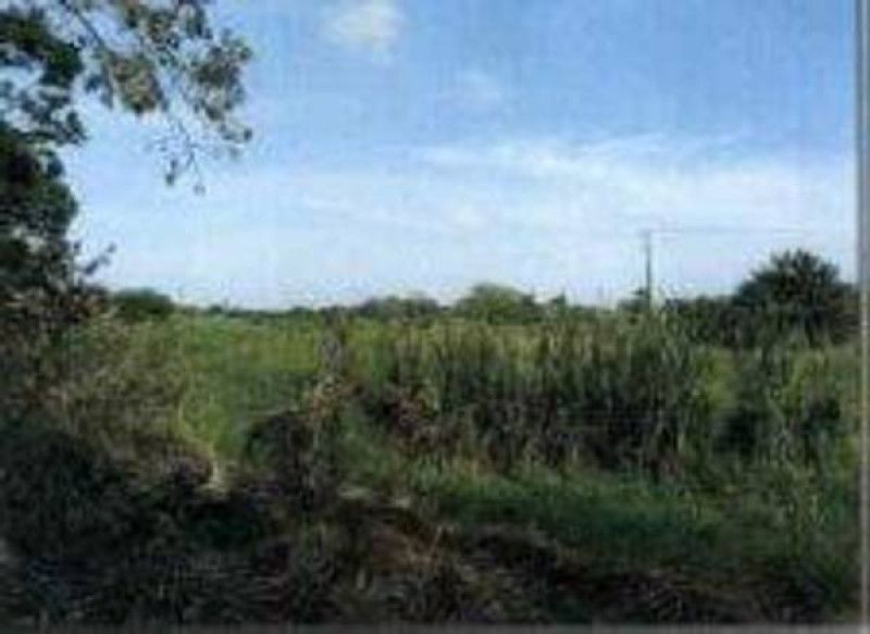 Lote en venta Córdoba Cereté El Centro 11440 m2 Habitaciones 0 Baños 0 Garajes 0 Precio $1700000000