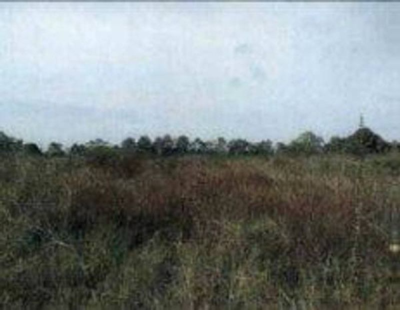 Lote en venta Córdoba Cereté El Centro 1166 m2 Habitaciones 0 Baños 0 Garajes 0 Precio $250772000