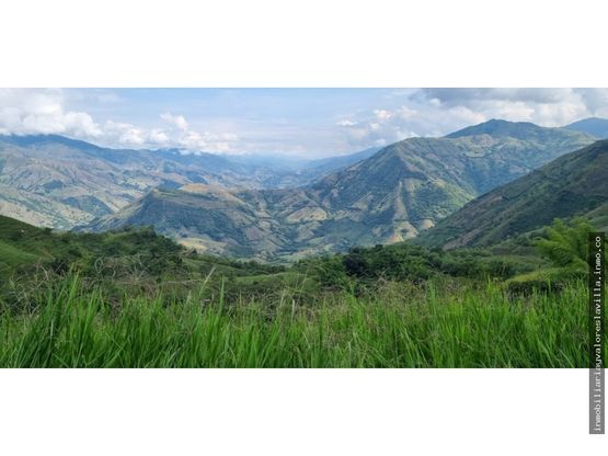 Lote en venta Antioquia Titiribí Titiribí 20400 m2 Habitaciones 0 Baños 0 Garajes 0 Precio $408000000