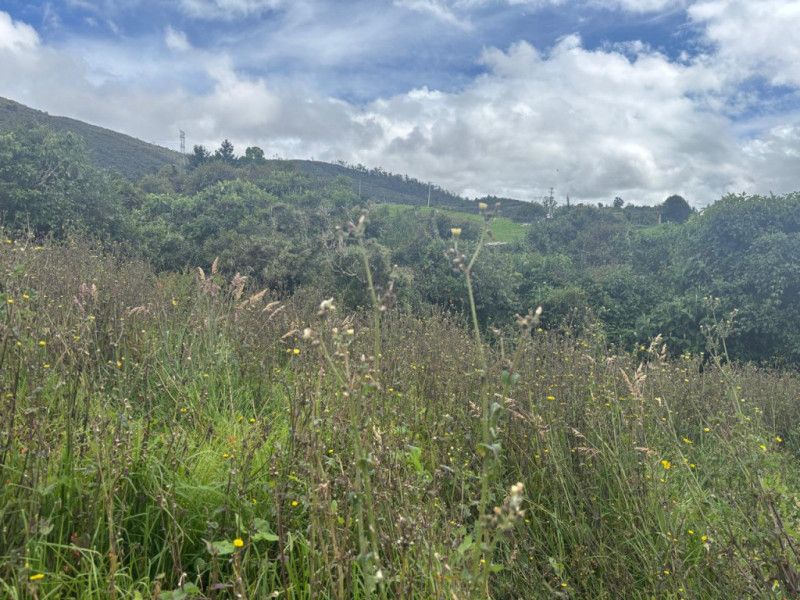 Lote en venta Cundinamarca La Calera La Calera 0 m2 Habitaciones 0 Baños 1 Garajes 1 Precio $395000000