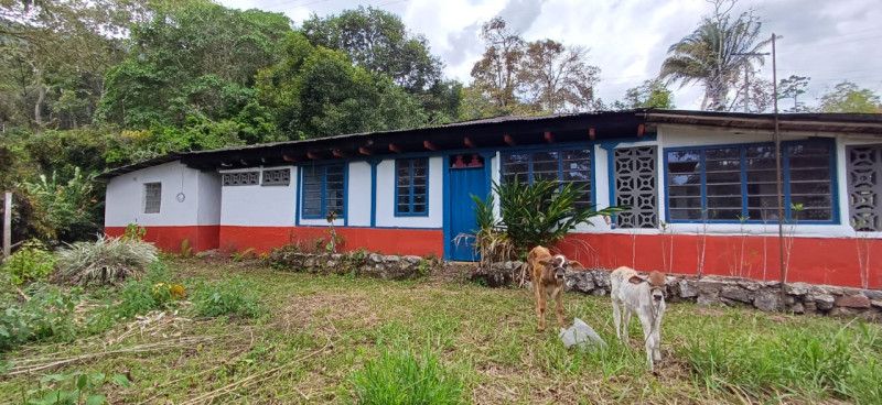 Finca en venta Tolima Melgar Melgar 300 m2 Habitaciones 4 Baños 2 Garajes 0 Precio $520000000