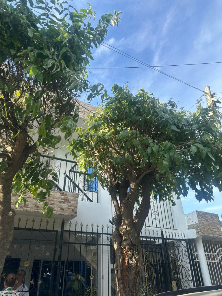 Apartamento en arriendo Magdalena Santa Marta Galicia 59 m2 Habitaciones 2 Baños 1 Garajes 0 Precio $800000