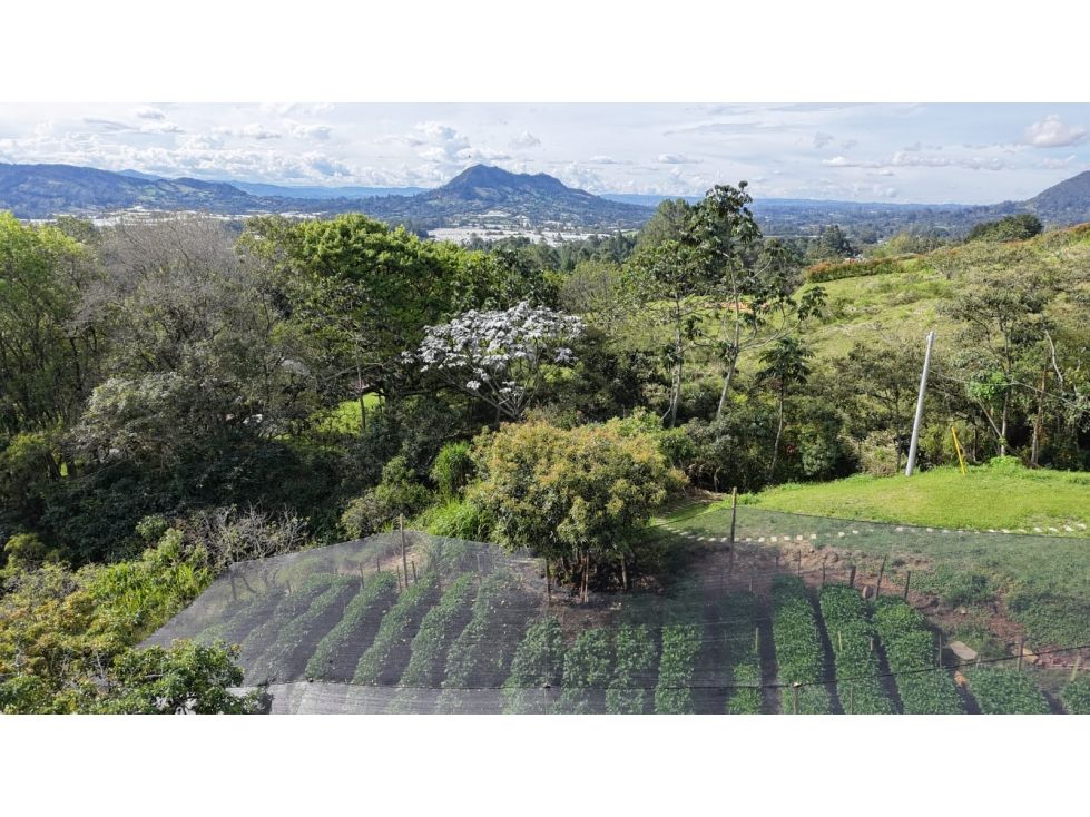 Finca en venta Antioquia La Ceja La Ceja 715 m2 Habitaciones 7 Baños 8 Garajes 2 Precio $3700000000