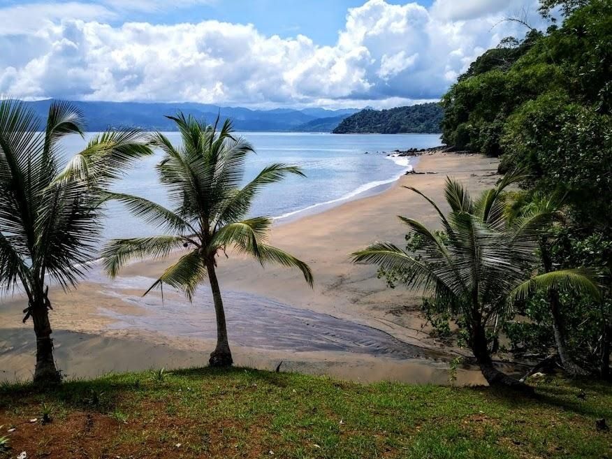 Edificio en venta Chocó Bahía Solano Bahía Solano 1000 m2 Habitaciones 5 Baños 5 Garajes 0 Precio $13000000000
