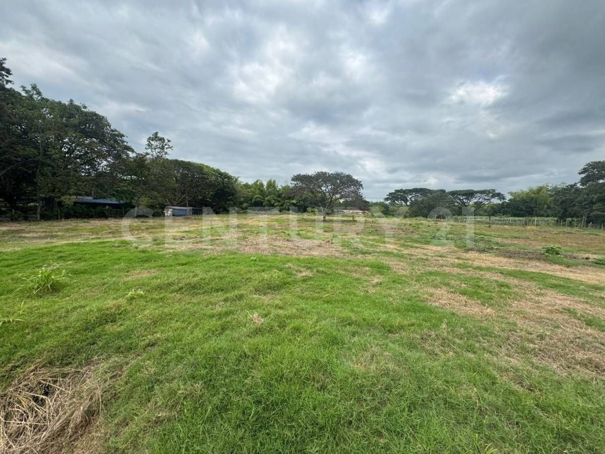 Lote en venta Valle Del Cauca Ginebra Ginebra 11 m2 Habitaciones 0 Baños 0 Garajes 0 Precio $11000000000