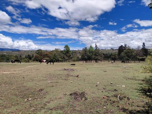 Finca en venta Boyacá Villa De Leyva Villa De Leyva 10 m2 Habitaciones 0 Baños 0 Garajes 0 Precio $1395000000