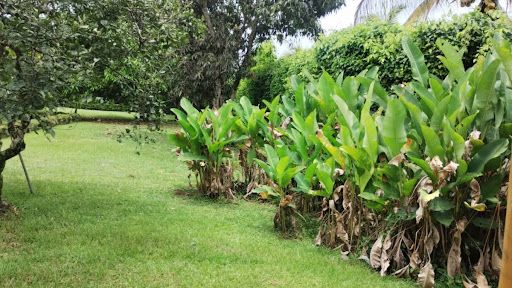 Casa Campestre en venta Cundinamarca Anapoima Cn Anapoima 2024 m2 Habitaciones 5 Baños 7 Garajes 2 Precio $1400000000