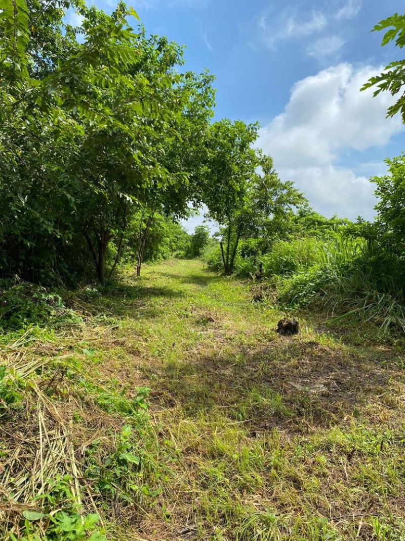 Lote en venta Atlántico Galapa La Candelaria 120000 m2 Habitaciones 0 Baños 0 Garajes 0 Precio $2220000000