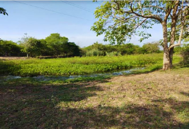 Casa en venta Atlántico Baranoa Baranoa 6000 m2 Habitaciones 2 Baños 2 Garajes 0 Precio $3262389707