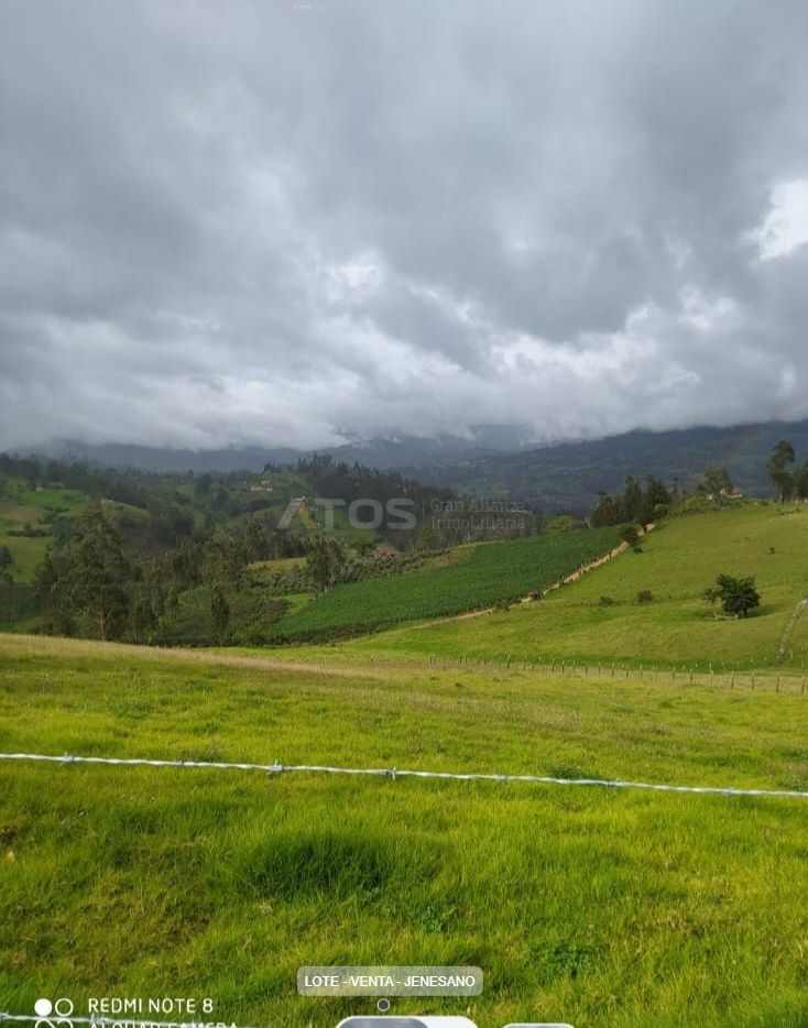 Lote en venta Boyacá Jenesano Jenesano 0 m2 Habitaciones 0 Baños 0 Garajes 0 Precio $290000000
