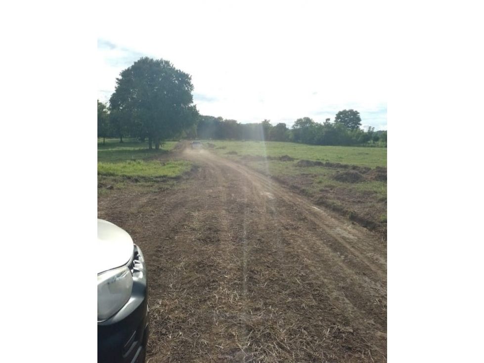 Lote en venta Córdoba Montería Montería 1000 m2 Habitaciones 0 Baños 0 Garajes 0 Precio $45000000