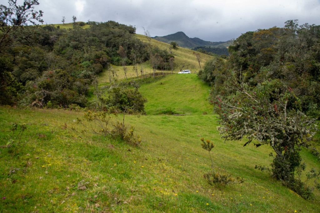 Lote en venta Cundinamarca La Calera La Calera 20000 m2 Habitaciones 0 Baños 0 Garajes 0 Precio $550000000