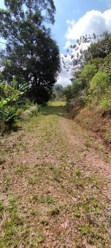 Lote en venta Cundinamarca Silvania Silvania 6800 m2 Habitaciones 0 Baños 0 Garajes 0 Precio $300000000