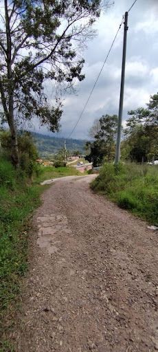 Lote en venta Cundinamarca Silvania Silvania 6800 m2 Habitaciones 0 Baños 0 Garajes 0 Precio $300000000