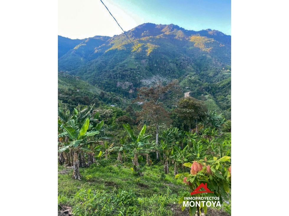 Lote en venta Caldas Risaralda Risaralda 32000 m2 Habitaciones 0 Baños 0 Garajes 0 Precio $90000000