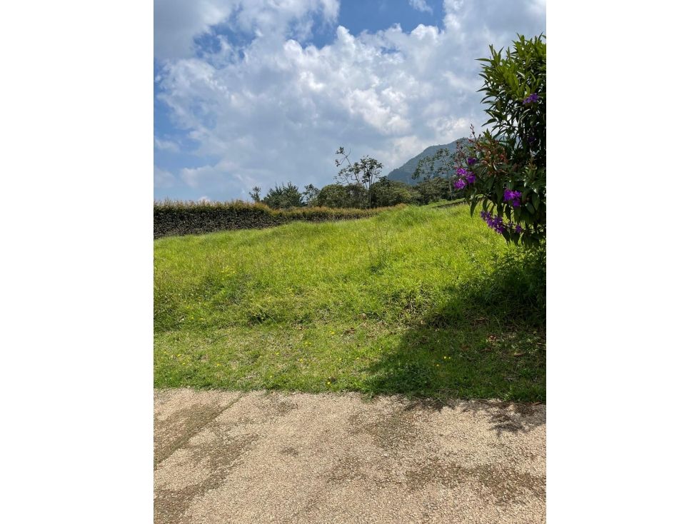 Lote en venta Antioquia La Ceja La Ceja 2070 m2 Habitaciones 0 Baños 0 Garajes 0 Precio $650000000