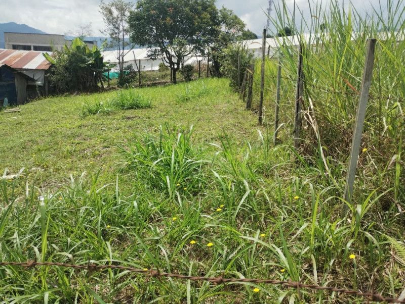 Lote en venta Antioquia El Carmen De Viboral La María 255 m2 Habitaciones 0 Baños 0 Garajes 0 Precio $350000000