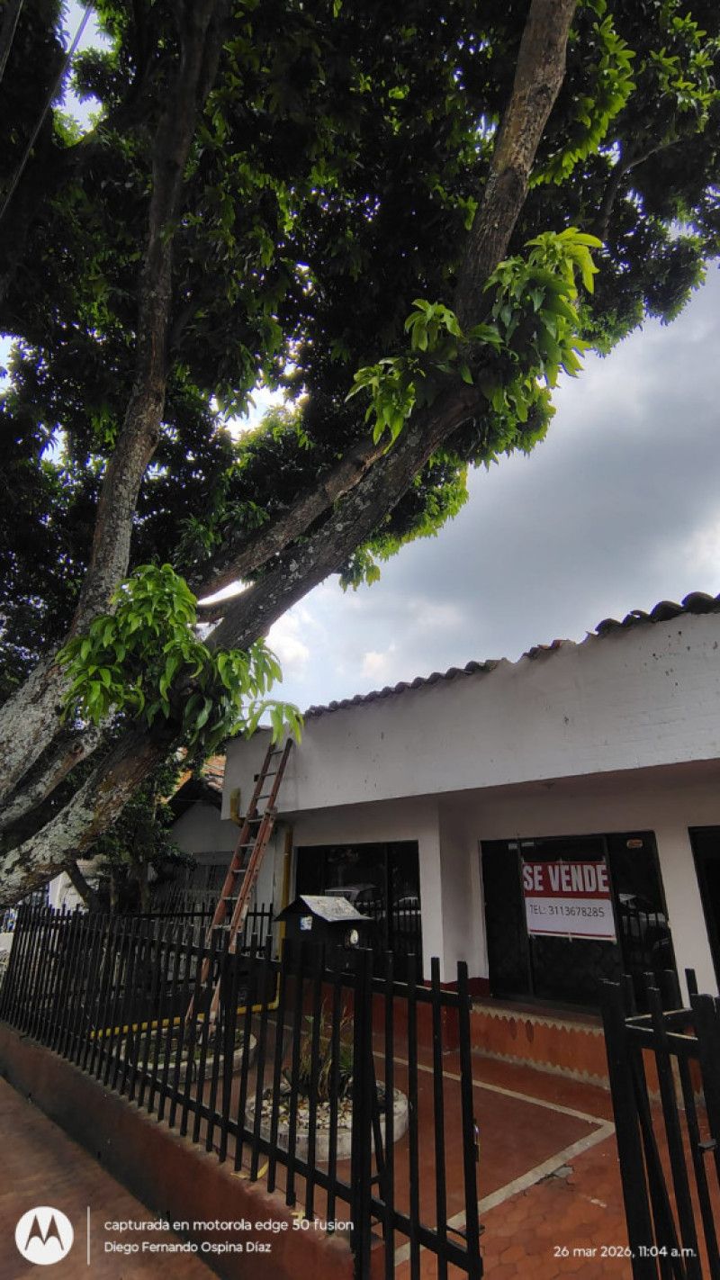 Casa en arriendo Valle Del Cauca Cali El Bosque 250 m2 Habitaciones 3 Baños 4 Garajes 1 Precio $3000000