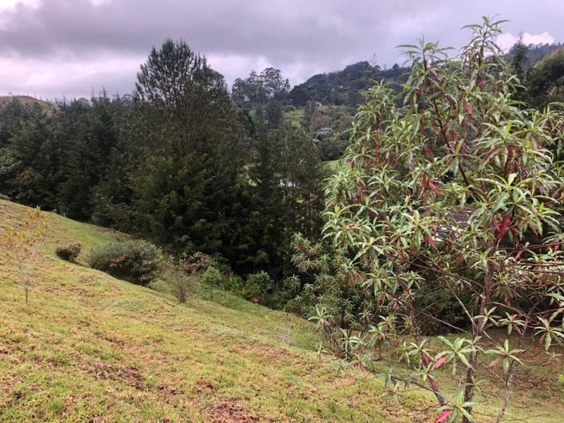Lote en venta Antioquia El Retiro El Retiro 6200 m2 Habitaciones 0 Baños 0 Garajes 0 Precio $800000000