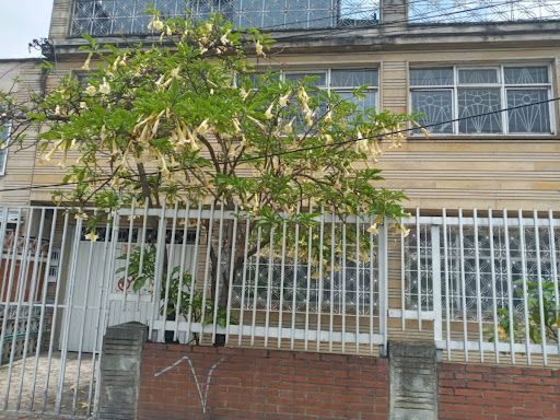 Casa en arriendo Cundinamarca Bogotá El Vergel 214 m2 Habitaciones 12 Baños 3 Garajes 0 Precio $9000000