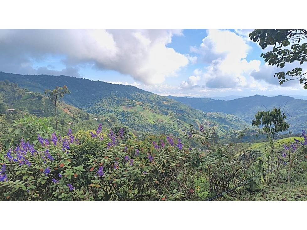 Finca en venta Risaralda Dosquebradas Campestre A 280 m2 Habitaciones 6 Baños 6 Garajes 15 Precio $1900000000