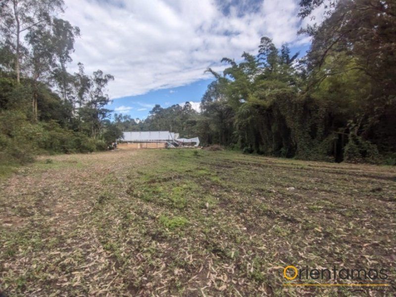 Lote en arriendo Antioquia Rionegro Centro 2000 m2 Habitaciones 0 Baños 0 Garajes 0 Precio $6000000