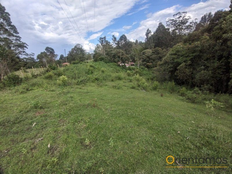 Lote en arriendo Antioquia Rionegro Centro 5000 m2 Habitaciones 0 Baños 0 Garajes 0 Precio $5000000