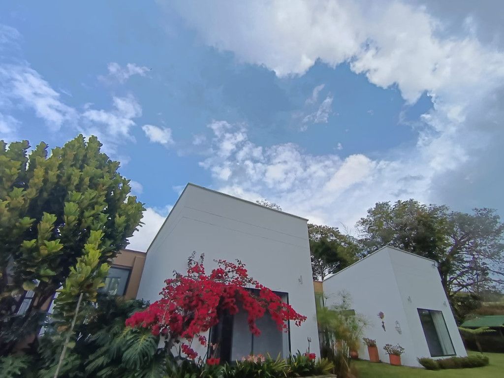 Finca en venta Antioquia Rionegro Rionegro 300 m2 Habitaciones 4 Baños 1 Garajes 0 Precio $3000000000