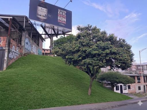 Lote en venta Risaralda Pereira Olaya Herrera 276 m2 Habitaciones 0 Baños 0 Garajes 0 Precio $250000000