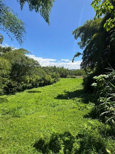 Lote en arriendo Risaralda Pereira Pereira 1900 m2 Habitaciones 0 Baños 0 Garajes 0 Precio $2500000