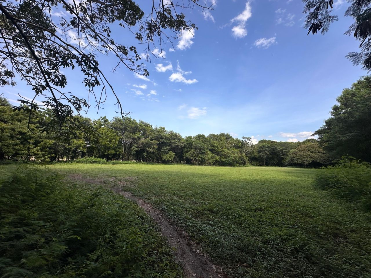 Lote en venta Cundinamarca Girardot Santander 0 m2 Habitaciones 0 Baños 0 Garajes 0 Precio $550000000