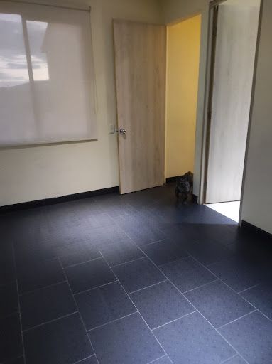 Apartamento en arriendo Cundinamarca Soacha Cr Sauce Et I 47 m2 Habitaciones 2 Baños 2 Garajes 0 Precio $750000