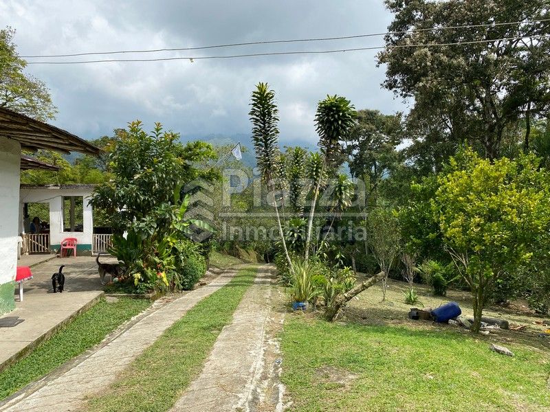 Lote en venta Tolima Ibagué Cr Tejares 21 m2 Habitaciones 0 Baños 0 Garajes 0 Precio $1100000000